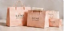 Mẫu túi giấy boutique cao cấp